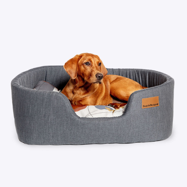 Lux Slumber Danish Steel Bed with Color Blocks