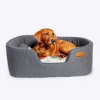 Lux Slumber Danish Steel Bed with Color Blocks