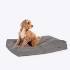 Cama Cojin Deluxe Antibacteriano Danish