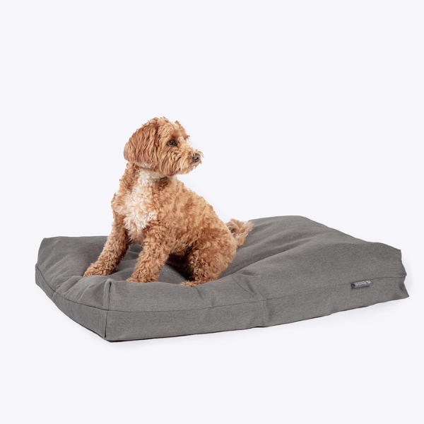Cama Cojin Deluxe Antibacteriano Danish