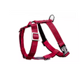 Bloom dark red harness bowl and bone