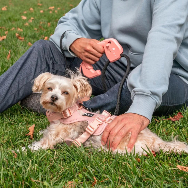 Dog Leash Pink-FIXY
