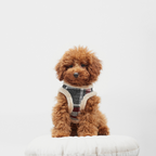 DOG ARNES TARTAN B&amp;B x ARISTOPET
