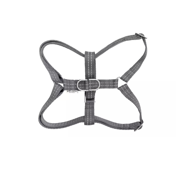 Harness active gray bowl and bone