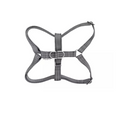 Harness active gray bowl and bone
