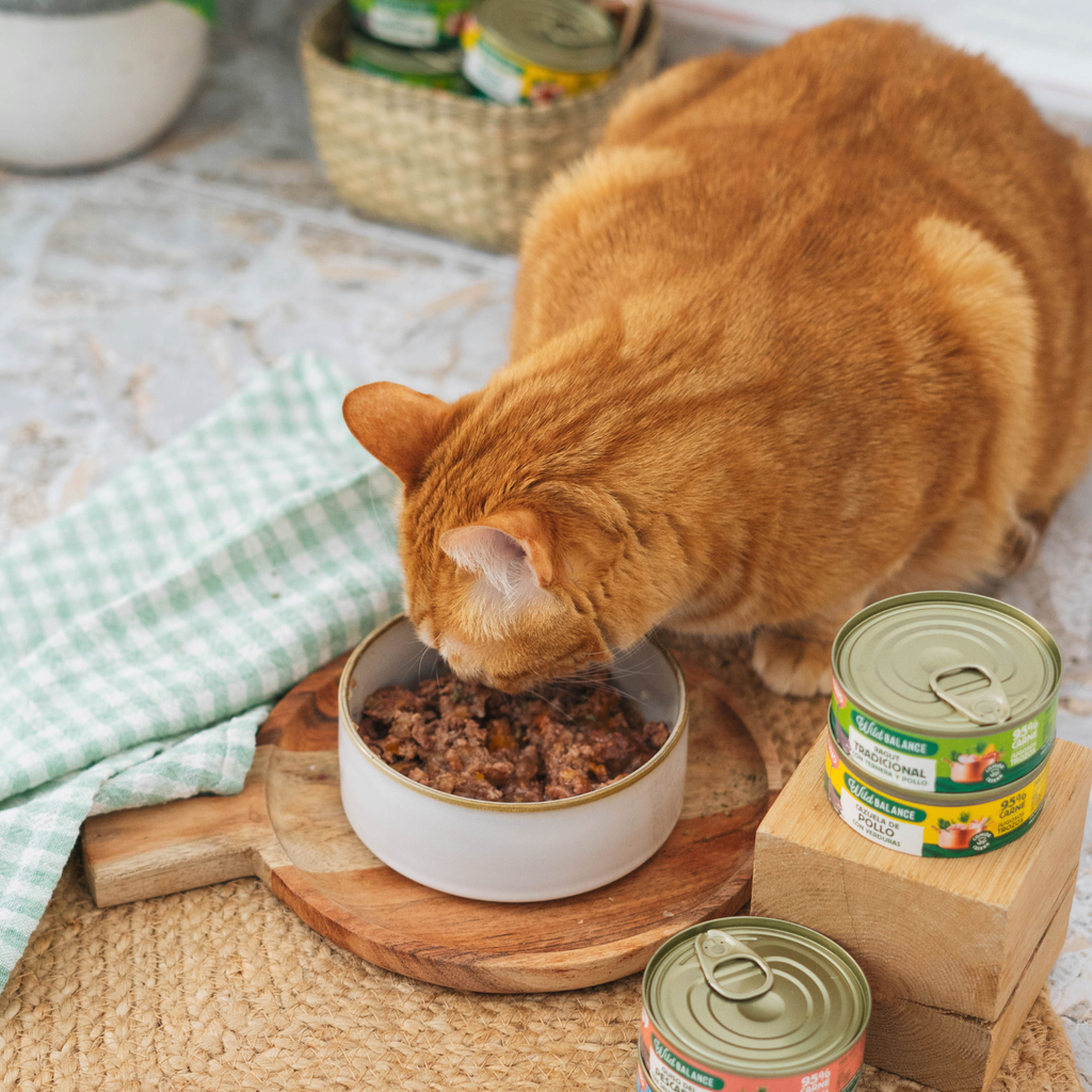 Fisherman's Stew with Salmon & Pork for Cats 80g