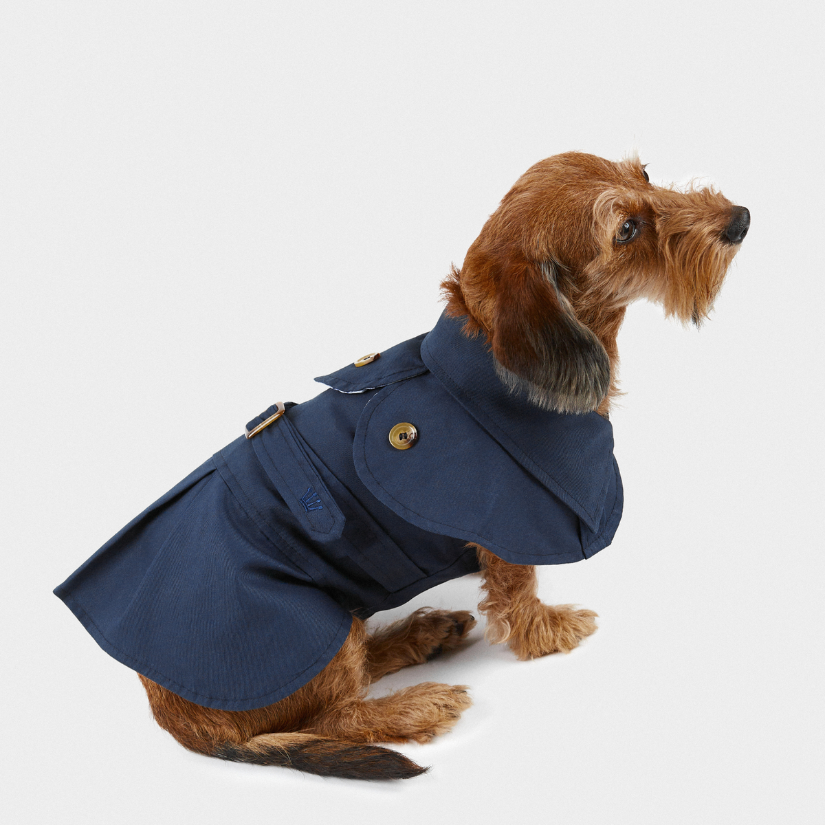 Trench London blue Aristopet