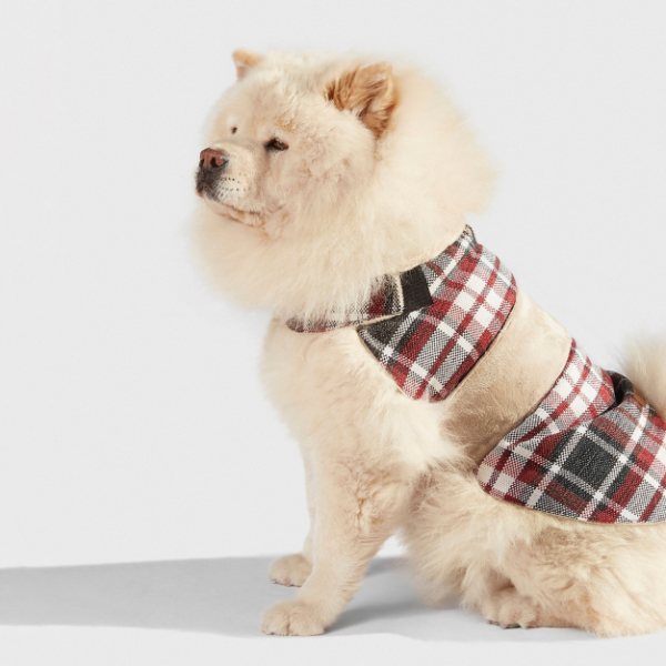 Dog coat Leaf Tartan B&amp;B x Aristopet