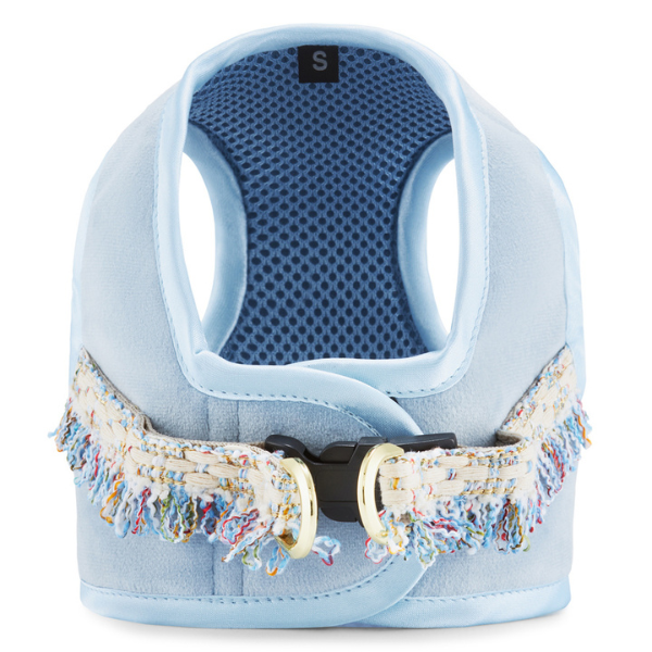 Arnes Aurora Oh Charlie Azul
