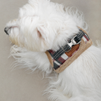 DOG ARNES TARTAN B&amp;B x ARISTOPET