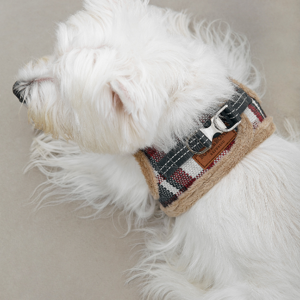 DOG ARNES TARTAN B&amp;B x ARISTOPET
