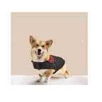 MI&DOG PADDED TWILL DOG COAT