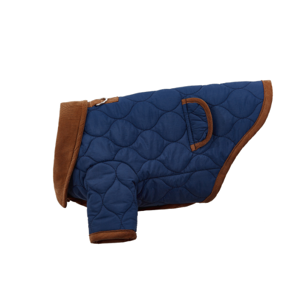 Spencer jacket azul Aristopet