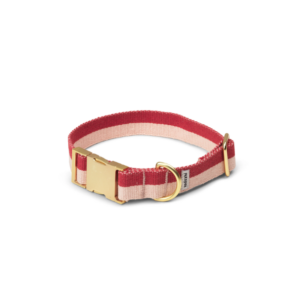 TADAZHI Adjustable Dog Collar