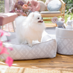 Tivoli Rectangular Oh Charlie Bed