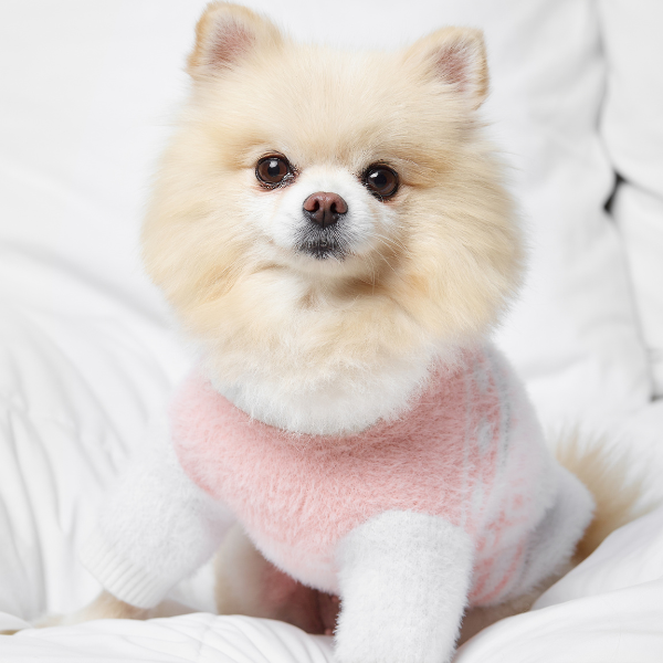 Aristopet pink puppy sweater