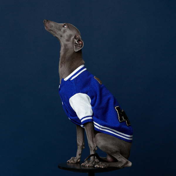 Mookie jacket azul Aristopet