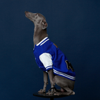 Mookie jacket azul Aristopet