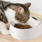 Smart Feeding Bowl
