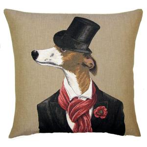 Whippet galgo dandy rose