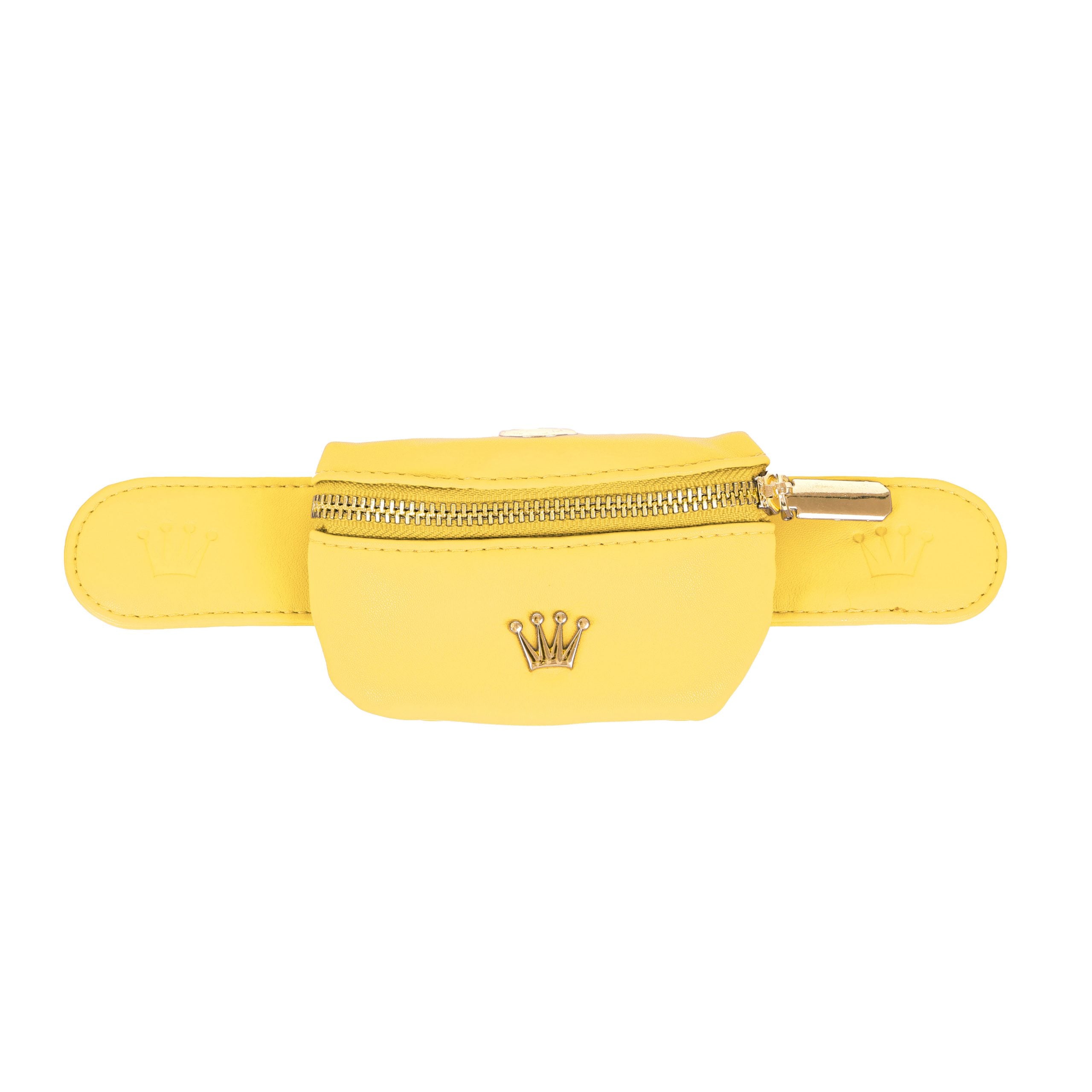 Dog flap bag Aristopet Azul