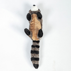 Ricky the Raccoon Plush Toy (Danish)