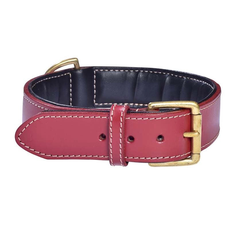 Collar classique haute finition Bobby