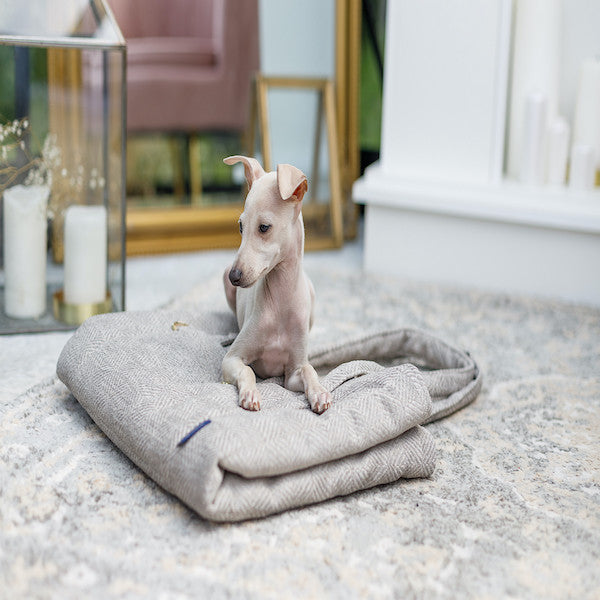 Florence Oh Charlie Travel Mat