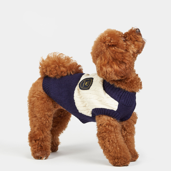 Bruno College Bordeaux Jersey