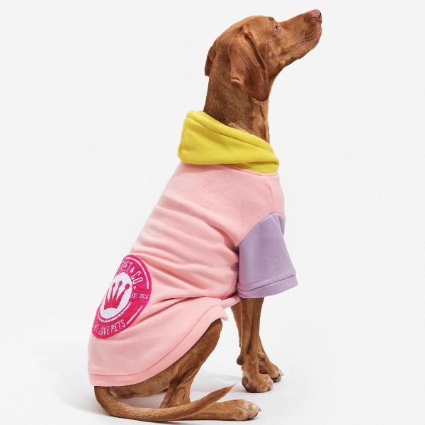 Augusto multicolor hoodie Aristopet