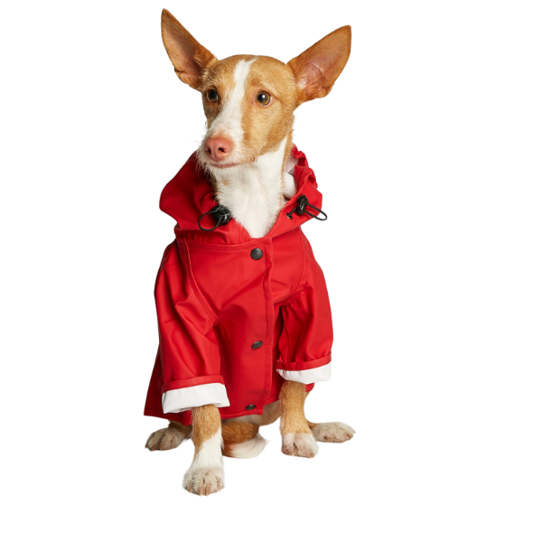 Impermeable Sarah Rojo