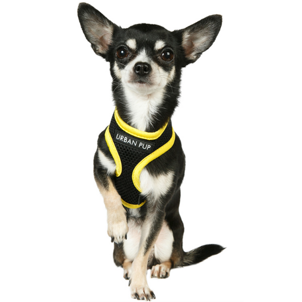 Arnés para Perro Active Mesh Urban Pup