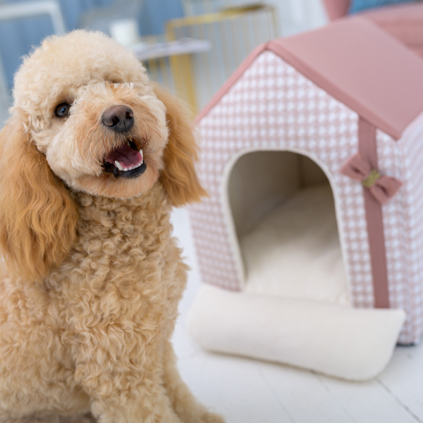 Glamour Dog House Bed Various Colors Oh Charlie