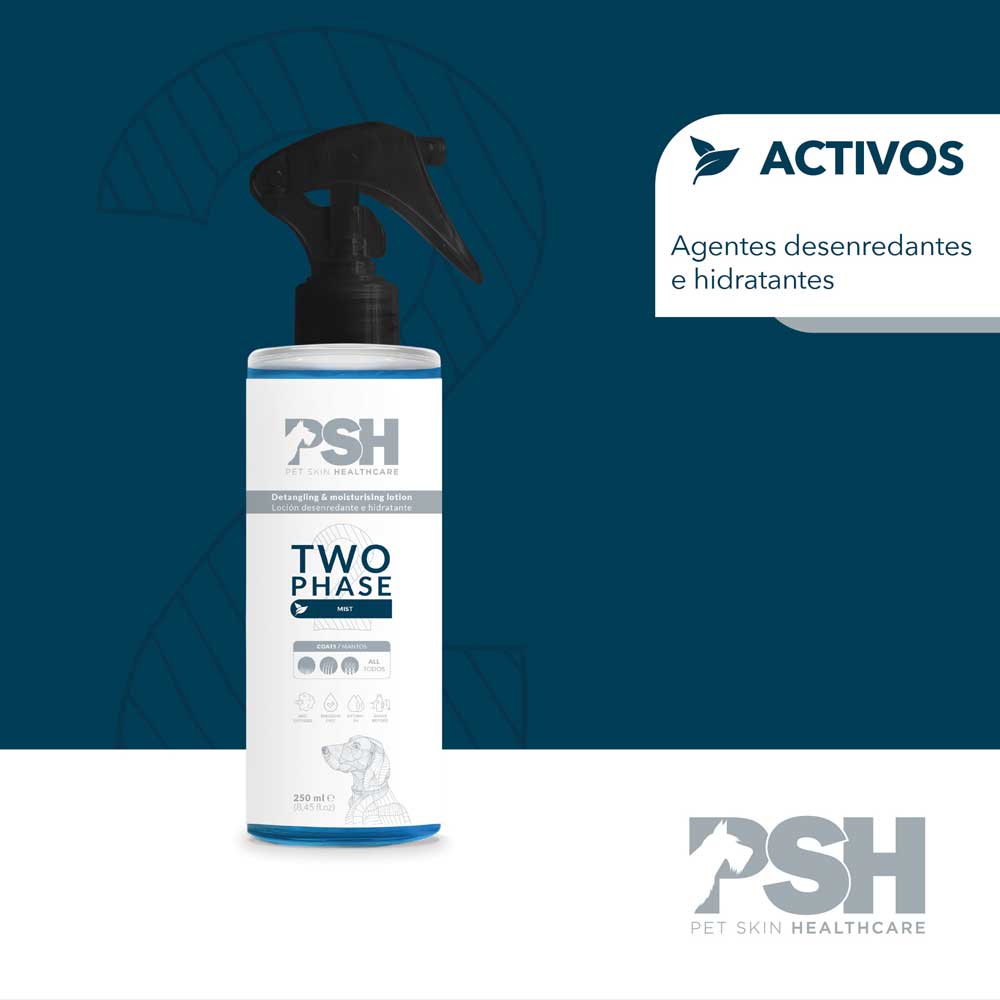 Two Phase Conditioner PSH