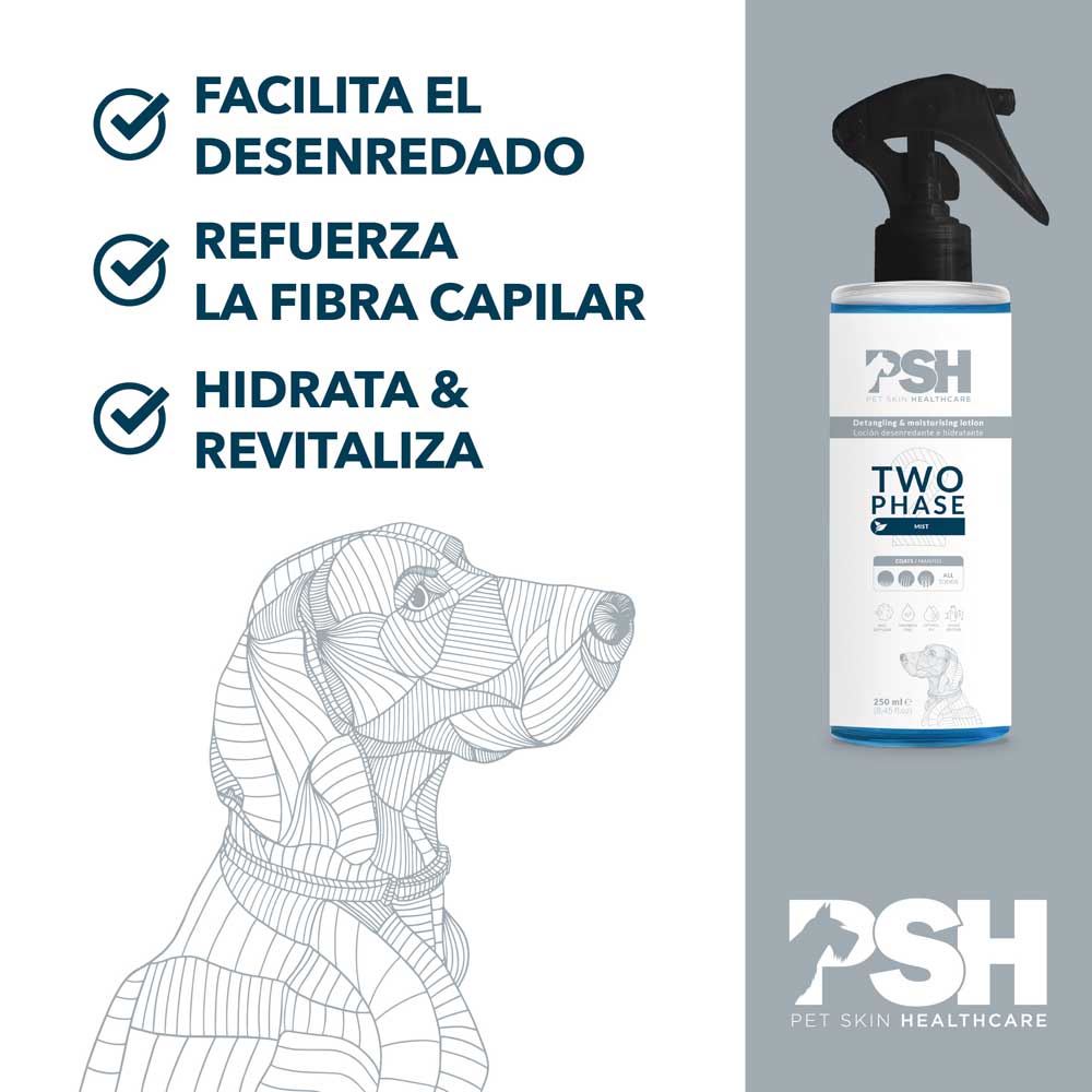 Two Phase Conditioner PSH