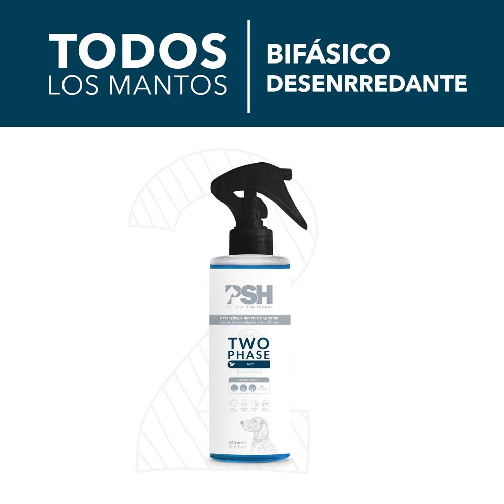 Two Phase Conditioner PSH