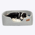 Lux Slumber Danish Steel Bed with Color Blocks