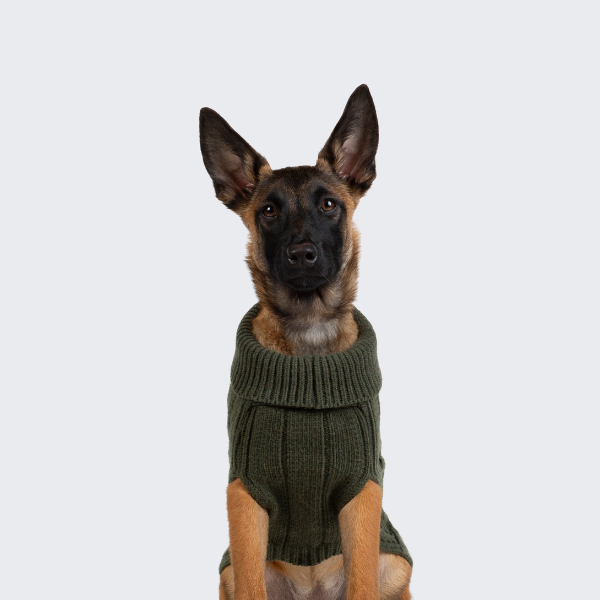 Jersey Aspen Negro