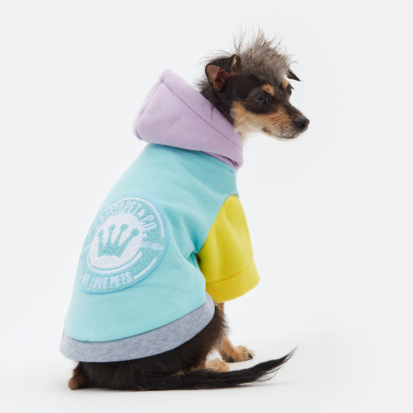 Augustus aqua hoodie Aristopet