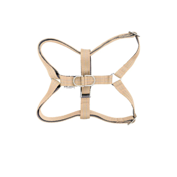 Arnes active amarillo bowl and bone