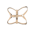 Arnes active beige bowl and bone