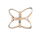Harness active gray bowl and bone