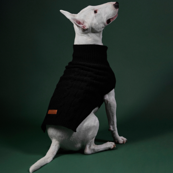 Jersey Aspen Negro
