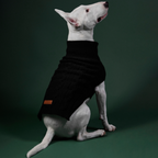 Jersey Aspen Negro