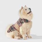 Dog coat Leaf Tartan B&amp;B x Aristopet