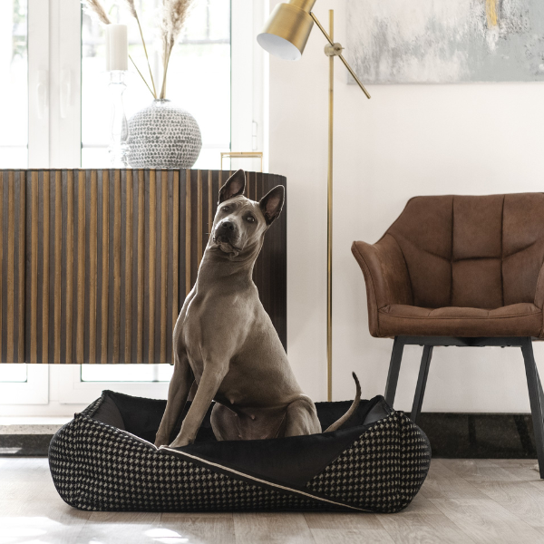 Prestige Deluxe Bed Oh Charlie