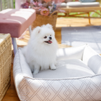 Tivoli Rectangular Oh Charlie Bed