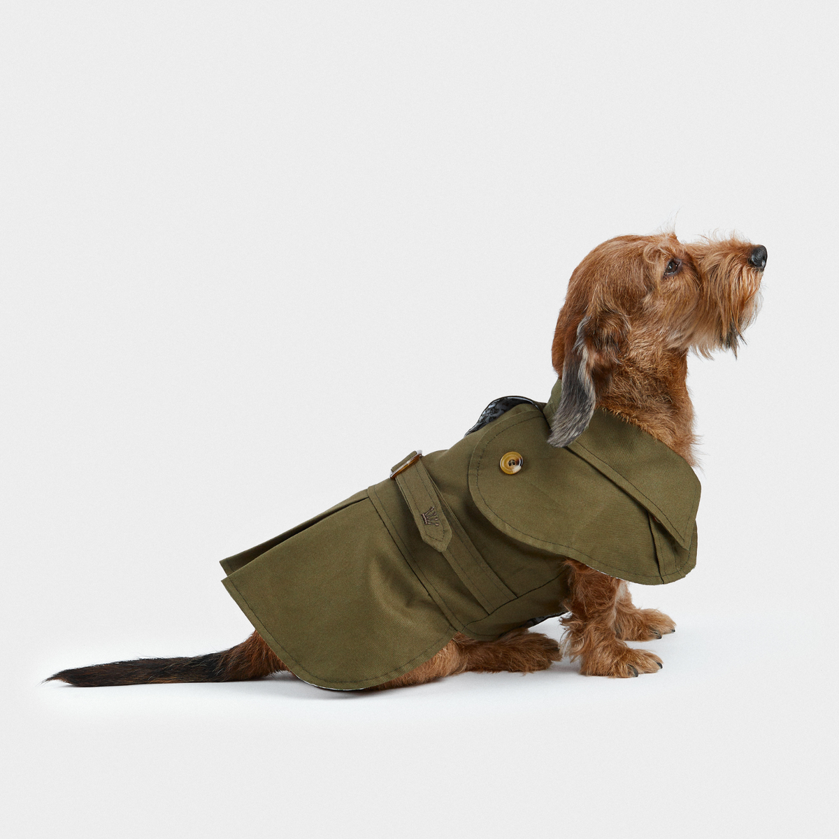 TRENCH VERDE