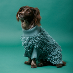 Blue Curly Jumper Maxbone x Aristopet