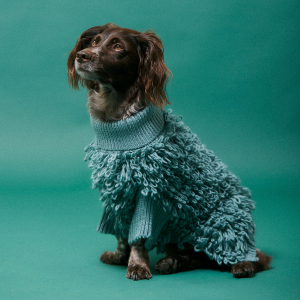 Curly Jumper Rosa Maxbone x Aristopet